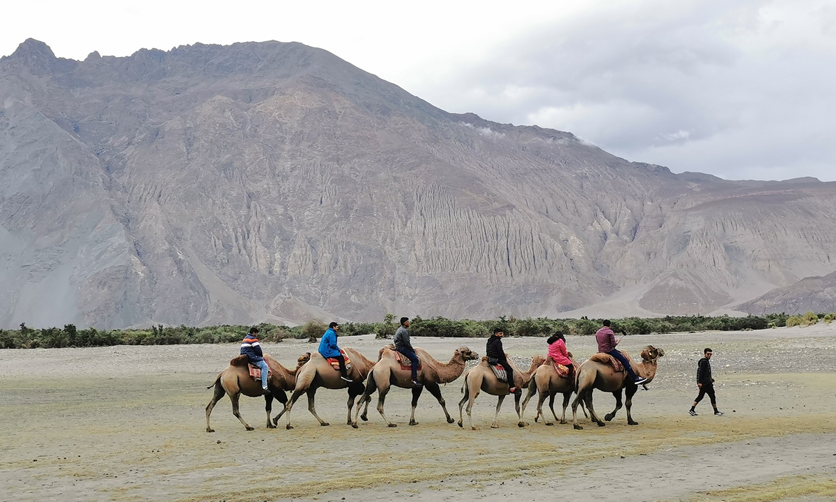 拉達克 Ladakh 漢德爾沙丘 Hunder Sand Dunes
